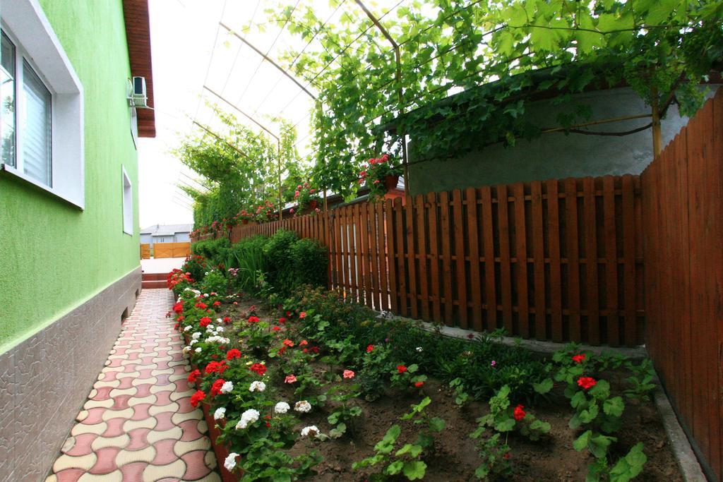 Отель Casa Nelu Pescaru Махмудия Экстерьер фото