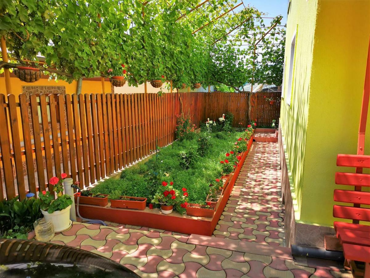 Отель Casa Nelu Pescaru Махмудия Экстерьер фото