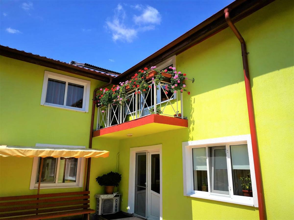 Отель Casa Nelu Pescaru Махмудия Экстерьер фото